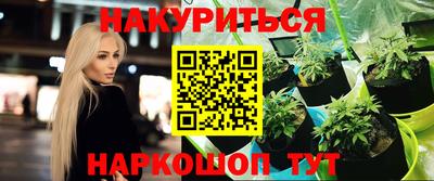 индика Можга