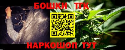 индика Можга