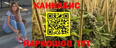индика Можга