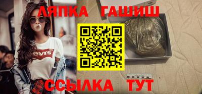 индика Можга