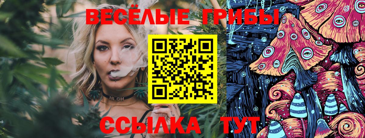 Славгород  Псилоцибиновые грибы Magic Shrooms  Вход с VPN 